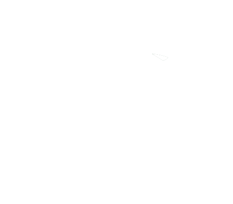 Sandburg Regional High School logo